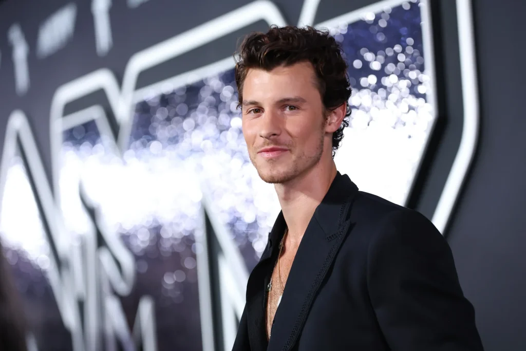 Shawn Mendes - Photo d'illustration de l'article Fortune Shawn Mendes