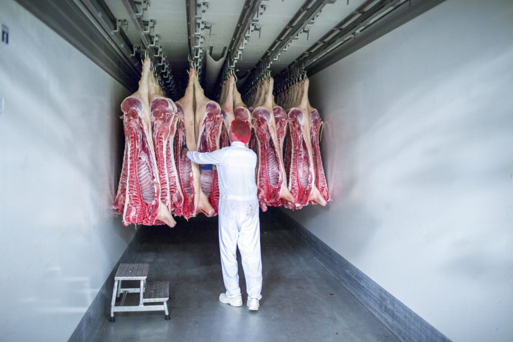 Viande porcine de Noordvlees Group.