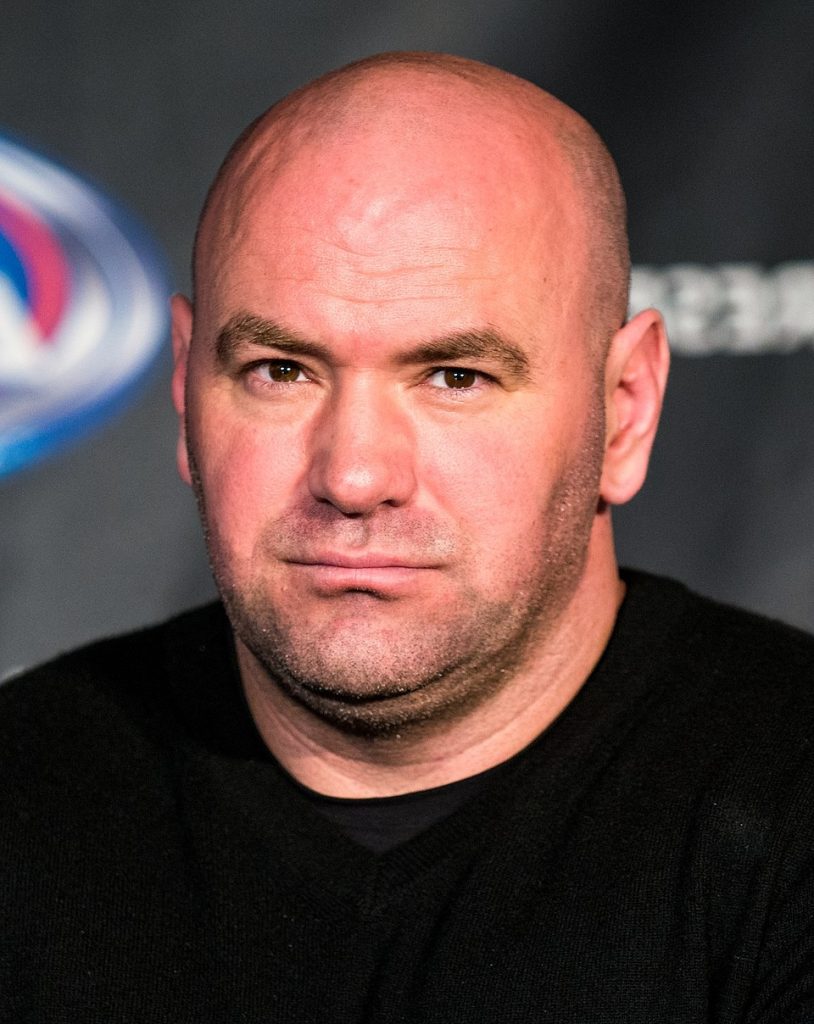 Fortune de Dana White
