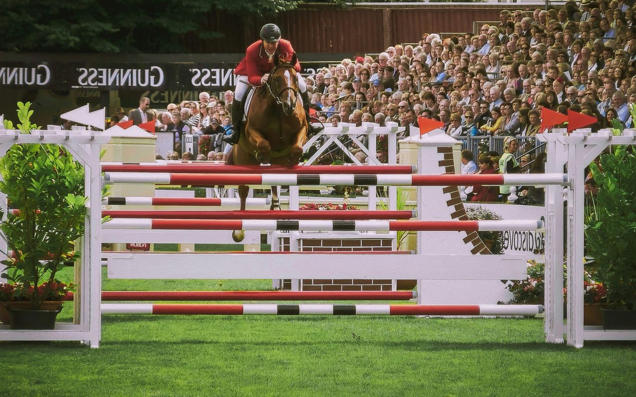 Show jumping in front of a captivated crowd, reflecting Stephan Conter's impact on the equestrian world.