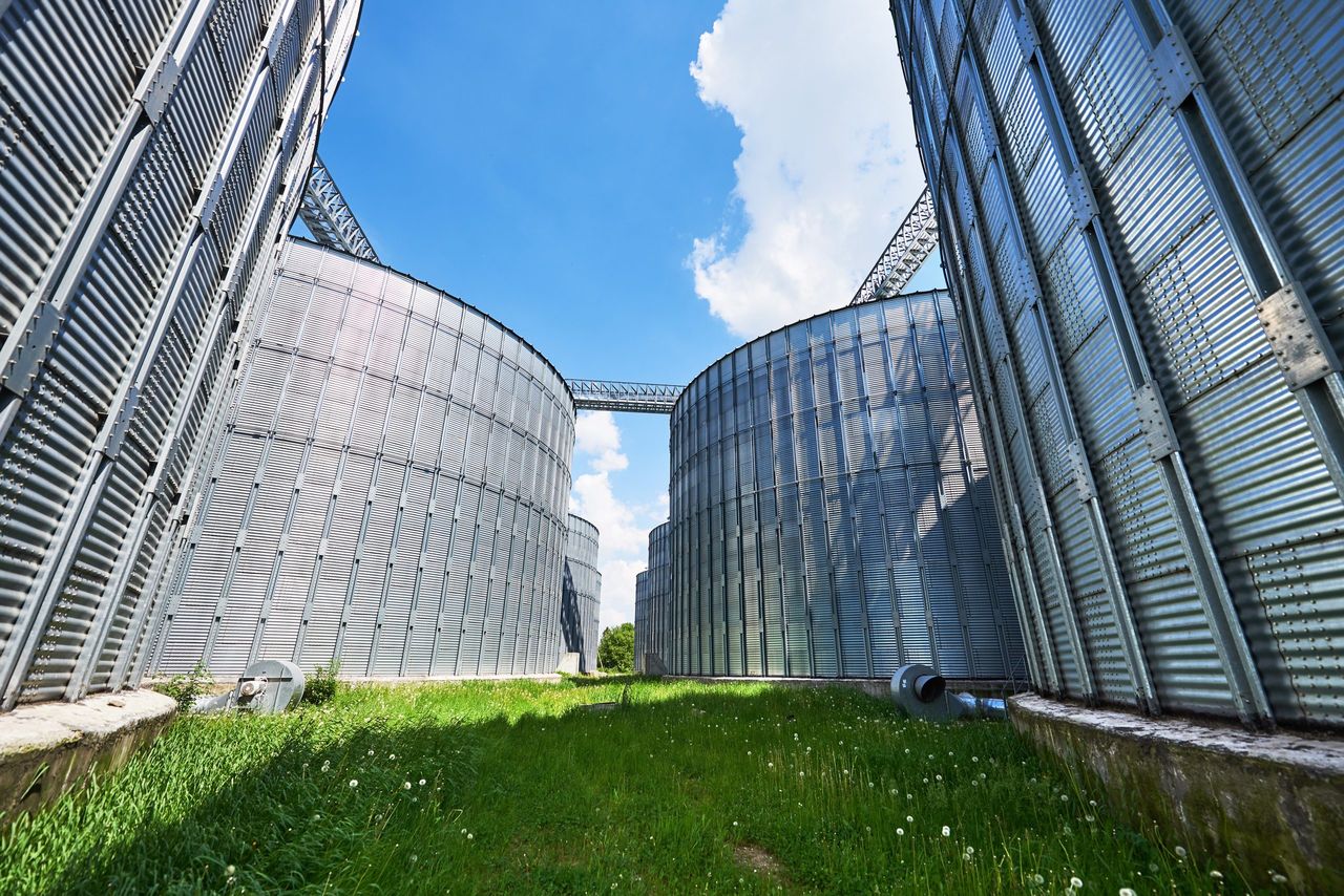 Van de Vyvere family biomass power plant