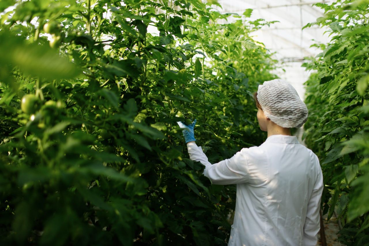 production of the Vandermarliere family thanks to their fortune