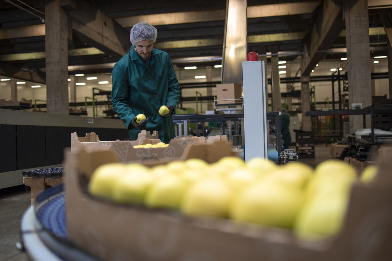 usineà fruit de la Omnipack-Reyniers