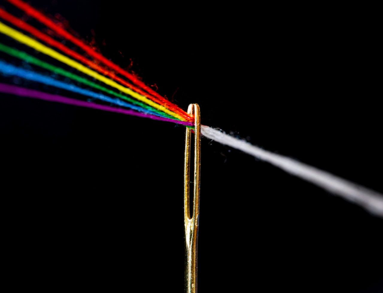 Pink Floyd de la Famille Hedwig De Meyer