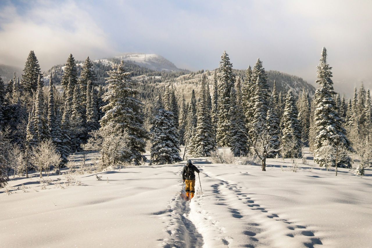 Gilles Samyn walking in the snow