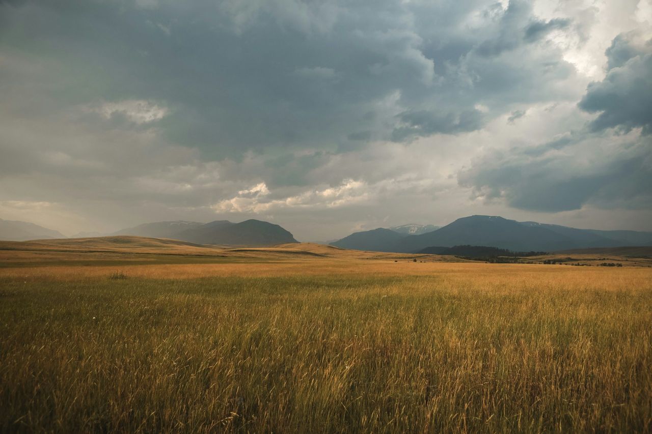 The Depré family's agricultural fields