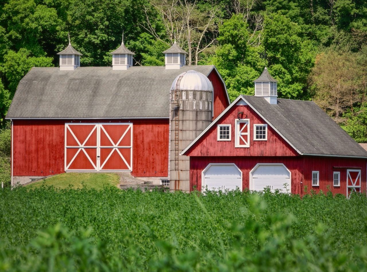 farm built by Luc Vulsteke and his employees