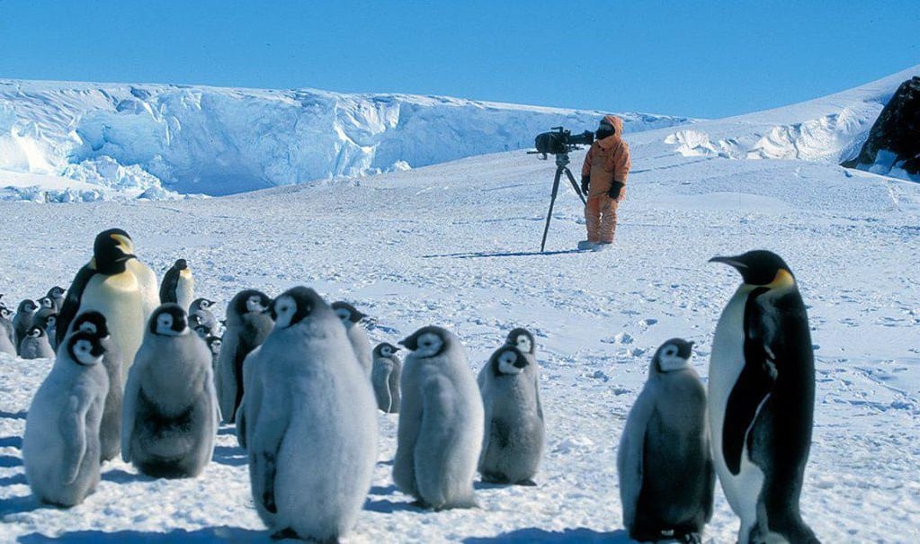 Film the emperor's march for which urbanus worked