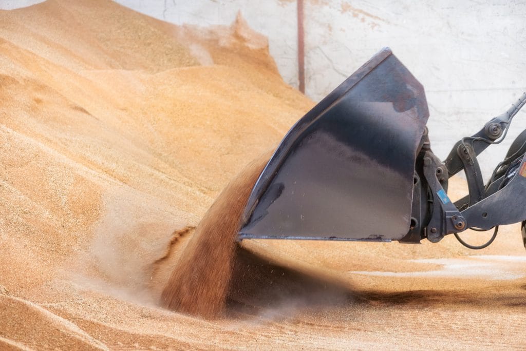 Image of the sand production of the Emsens Family