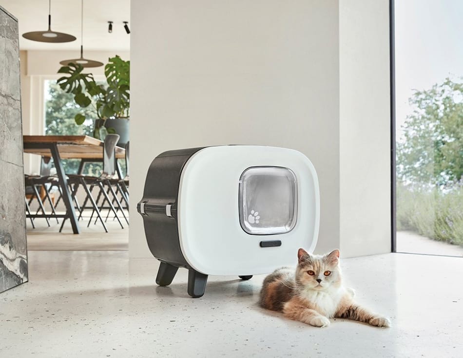 möbliert von der Familie doonaet gegründet