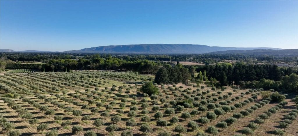 The Leos estate, Bruel's property