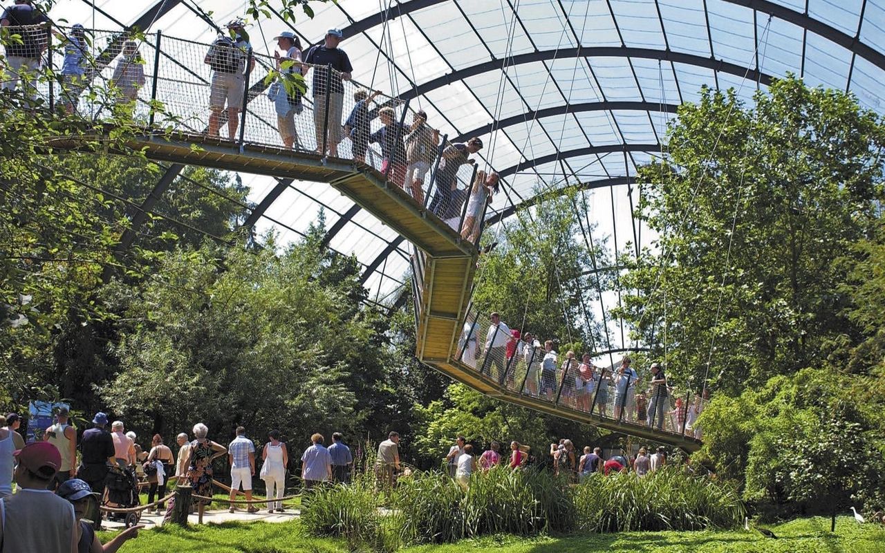 Photo de pairi diaza créé par Marc Coucke  qui rapporte plusieurs millions d'euors