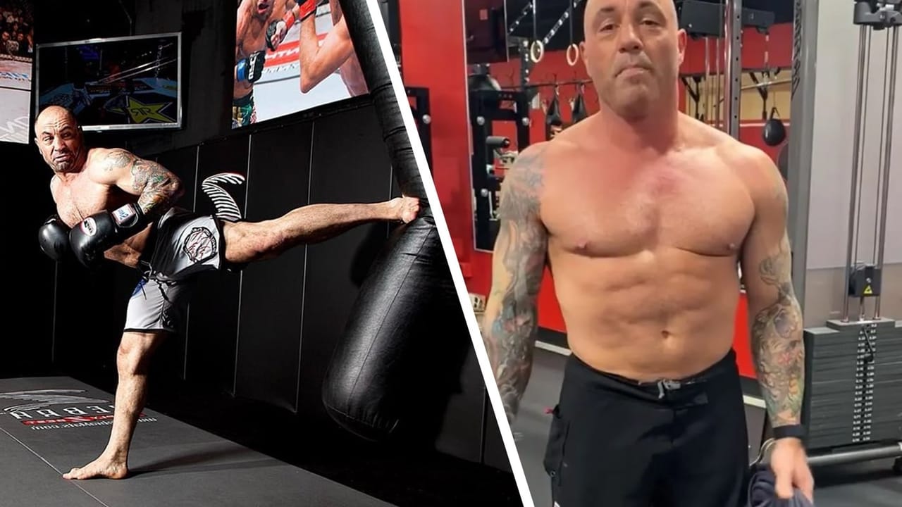 Joe Rogan's dream physics