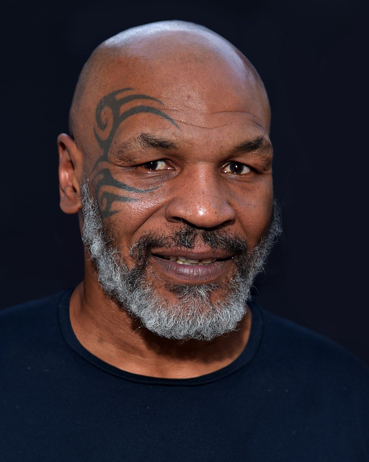 Mike Tyson fortune