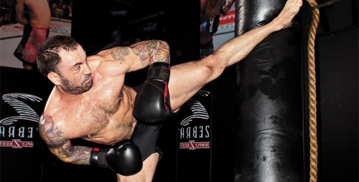 Joe Rogan's MMA sport