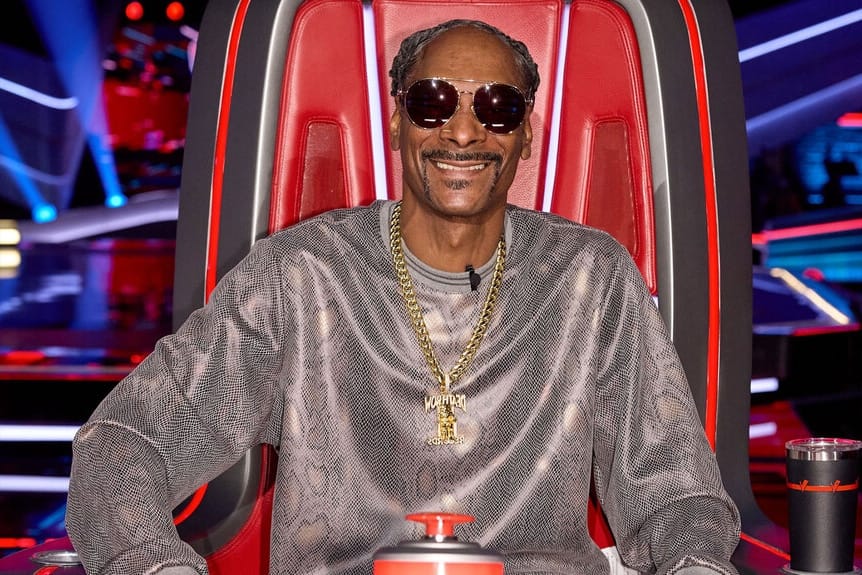Snoop Dogg Vermögen