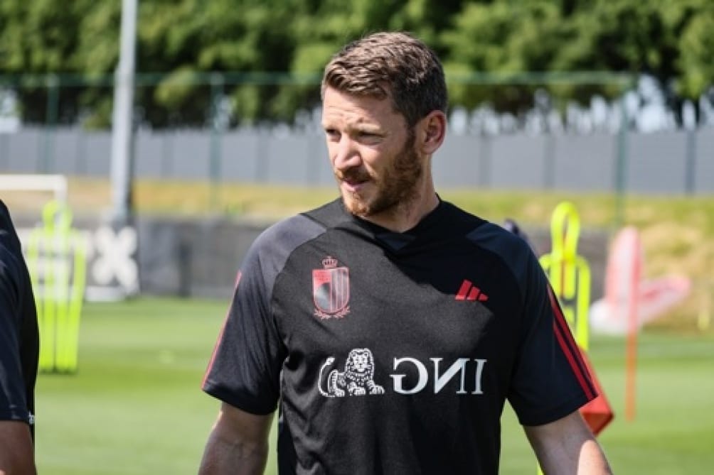 Jan Vertonghen fortune