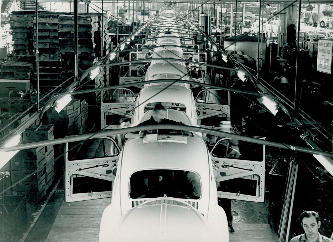 Nicolas D'Ieteren plant