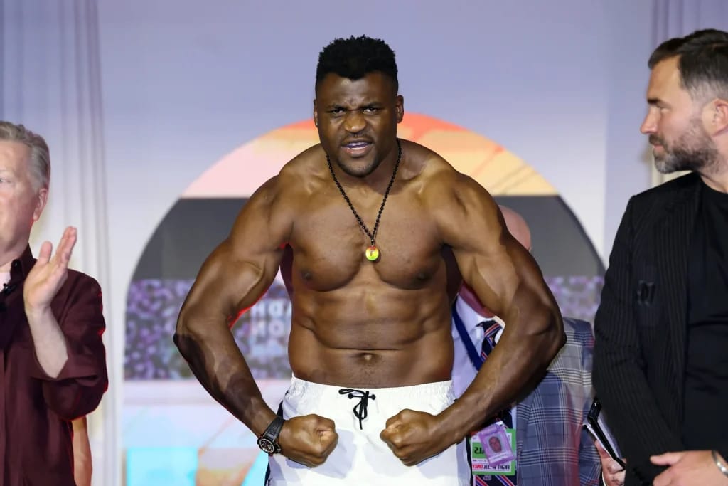 Francis Ngannou - Illustration of the article Francis Ngannou Fortune