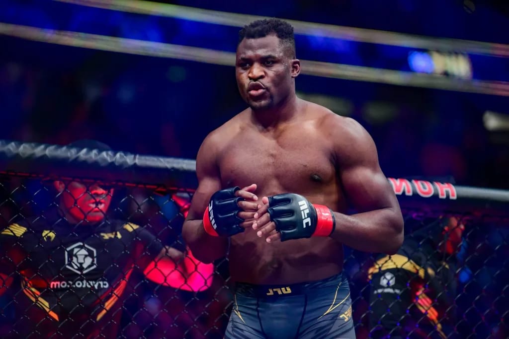 Francis Ngannou - illustration of the article Francis Ngannou Fortune