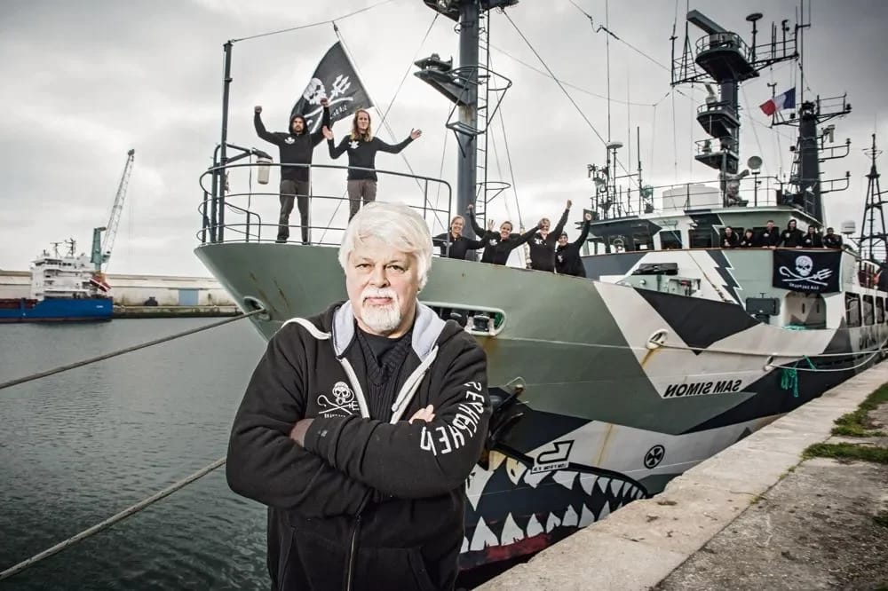 Paul Watson - Titelbild des Artikels Paul Watson Fortune