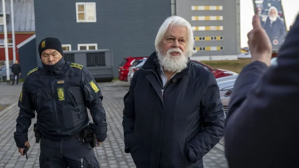 Paul Watson - Titelbild des Artikels Paul Watson Fortune