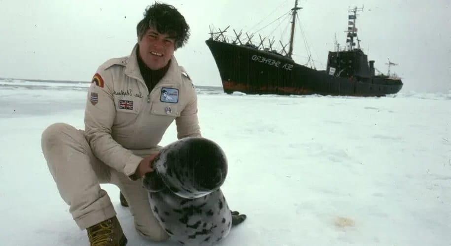 Paul Watson - Titelbild des Artikels Paul Watson Fortune