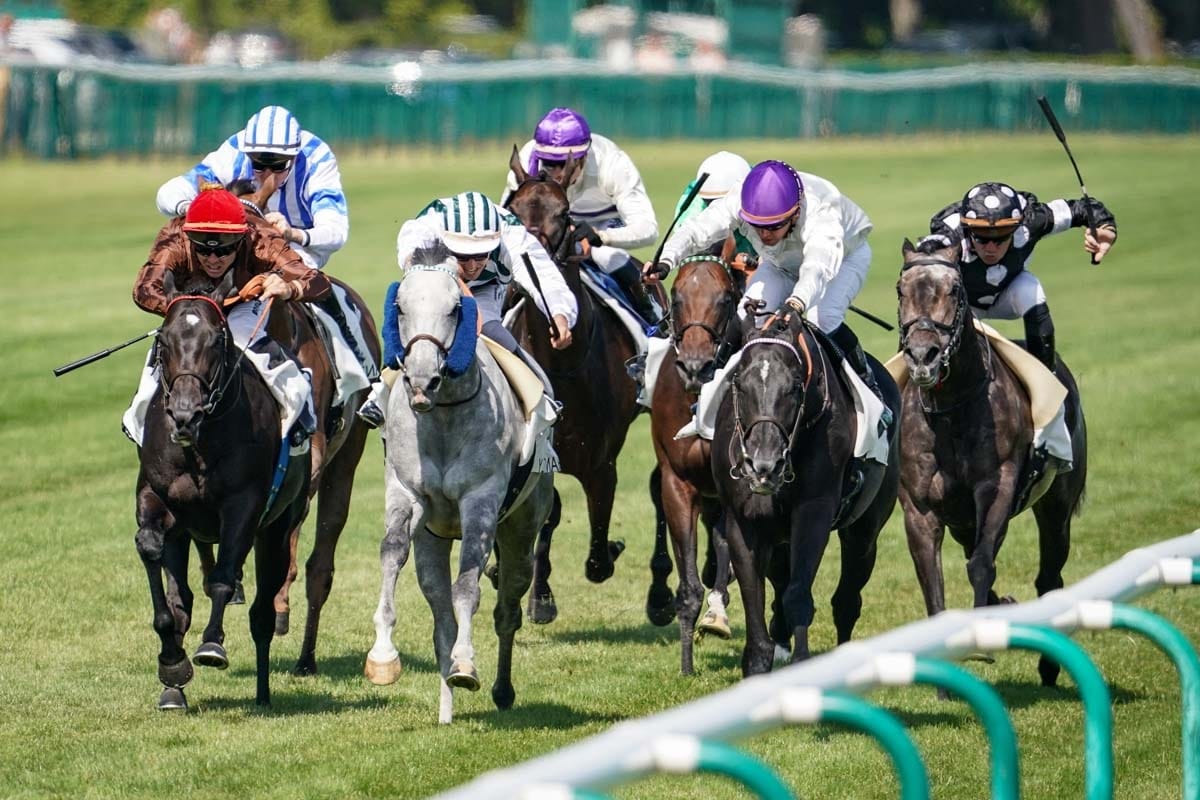 cpurse longchamp by Darie Boutboul