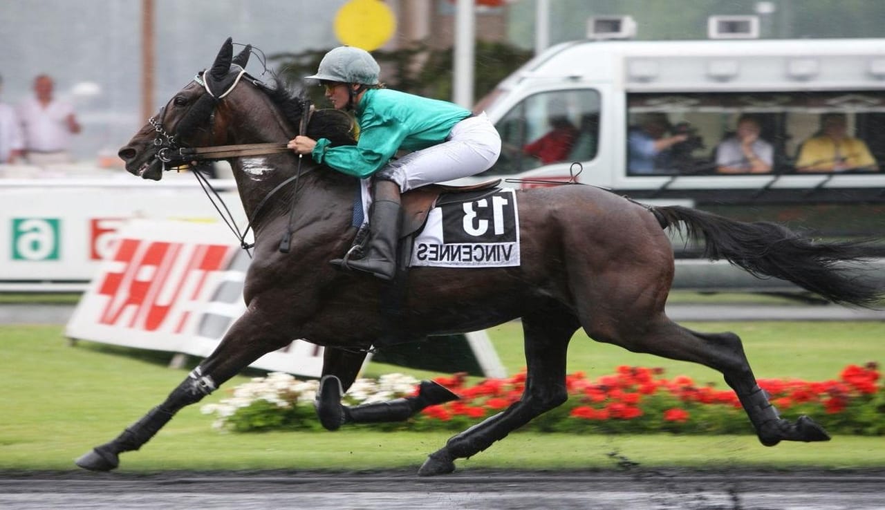 Darie Boutboul horse race