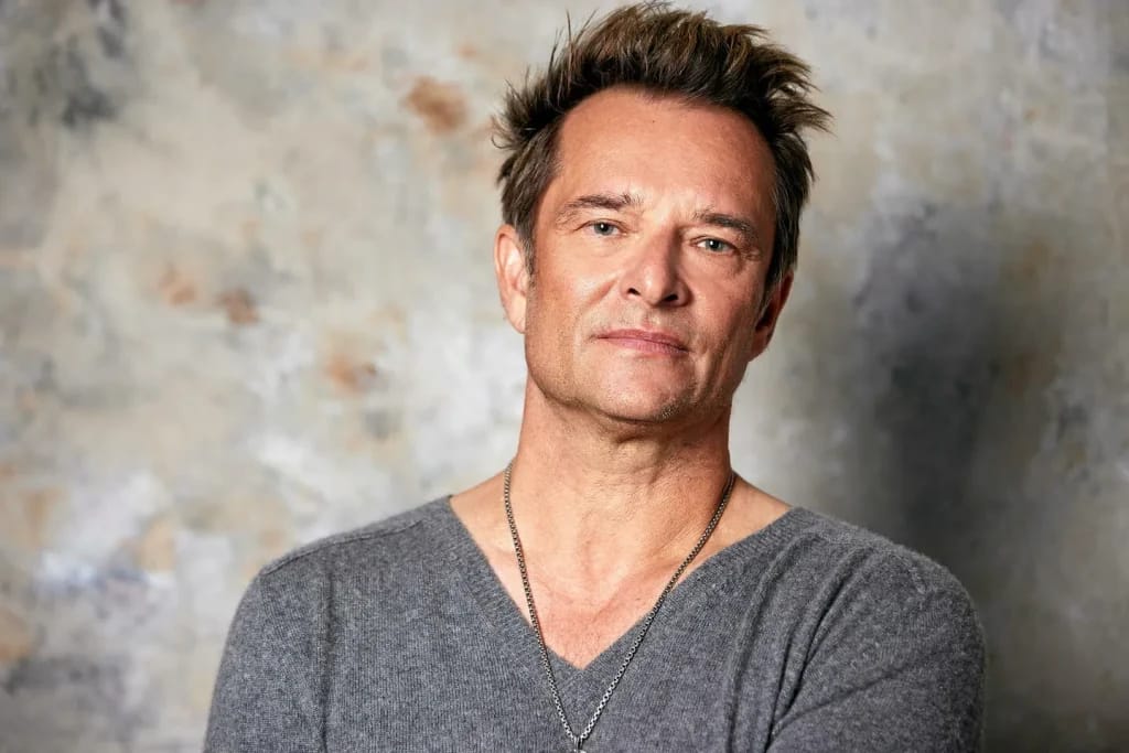 David Hallyday - Titelbild des Artikels über die reichsten Sänger Frankreichs