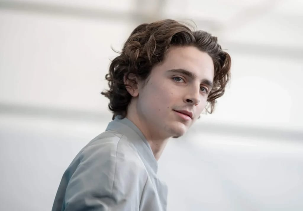 Timothée Chalamet - photo d'illustration de l'article Fortune Timothée Chalamet