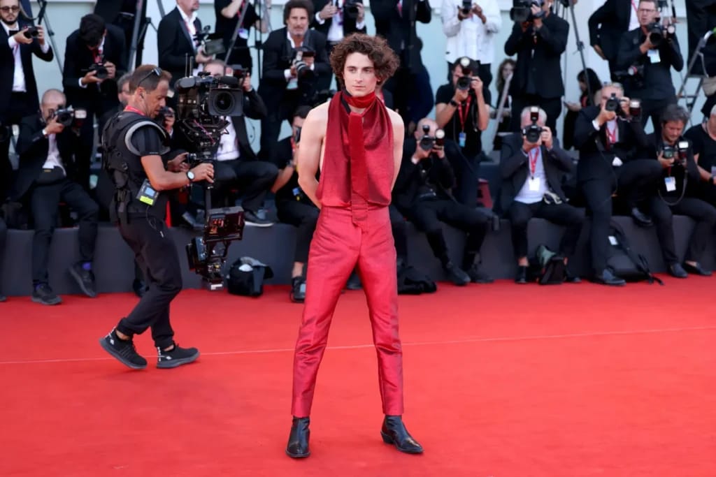 Timothée Chalamet - photo d'illustration de l'article Fortune Timothée Chalamet