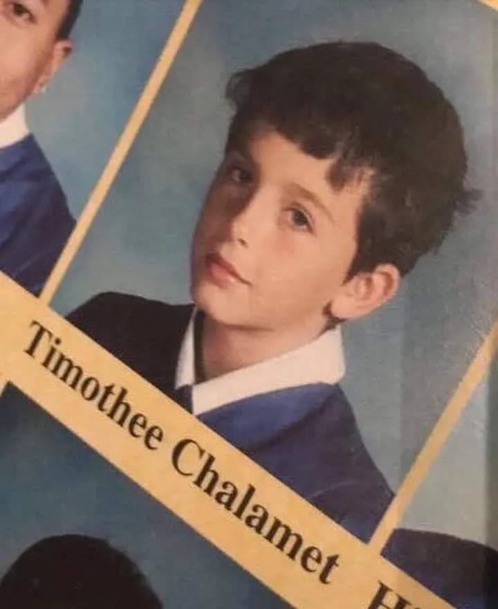 Timothée Chalamet - photo d'illustration de l'article Fortune Timothée Chalamet
