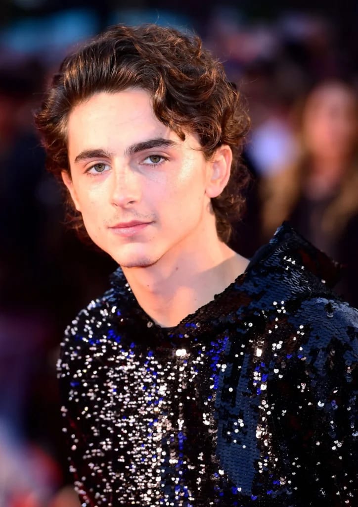 Timothée Chalamet - photo d'illustration de l'article Fortune Timothée Chalamet
