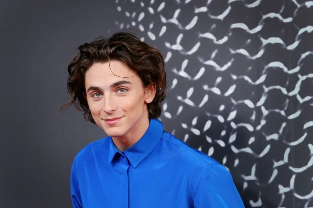 Timothée Chalamet - photo d'illustration de l'article Fortune Timothée Chalamet