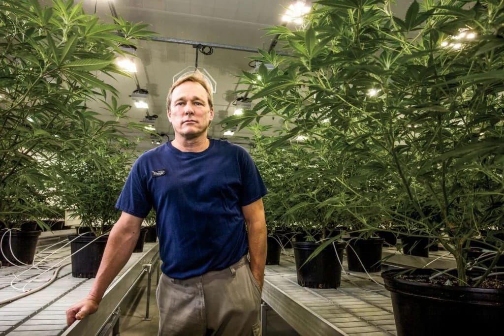 Bruce Linton - Photo d'illustration de l'article Fortune Bruce Linton