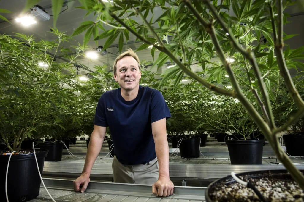 Bruce Linton - Photo d'illustration de l'article Fortune Bruce Linton