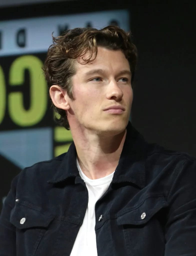 Callum Turner - Illustrationsfoto zum Artikel Callum Turner Vermögen