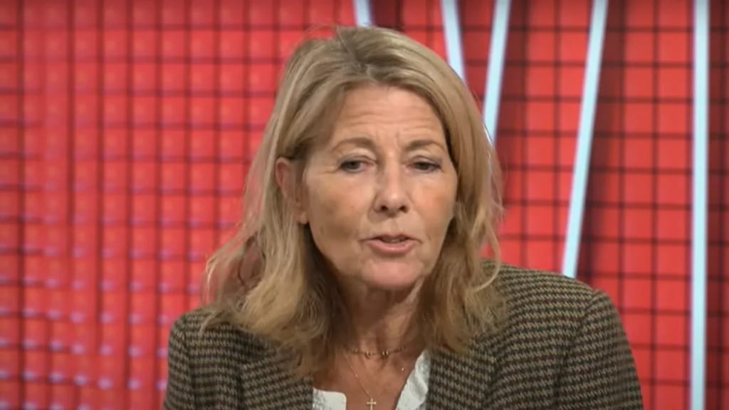 Claire Chazal - Illustratie bij het artikel Fortune Claire Chazal
