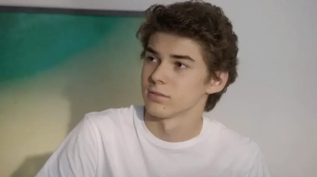 Sebastien Delorme - Illustratiefoto van het artikel Vermogen Sebastien Delorme