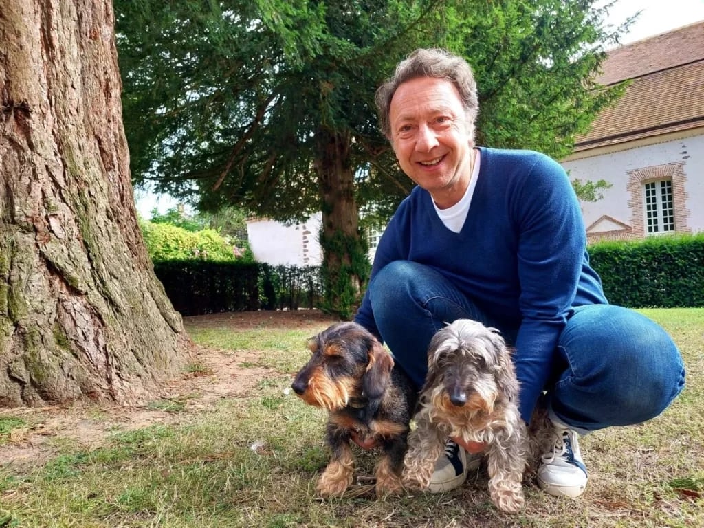 Stéphane Bern - Illustration photo for the article Stéphane Bern Net Worth