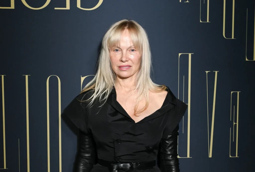 Pamela Anderson - Illustrationsfoto des Artikels Vermögen Pamela Anderson