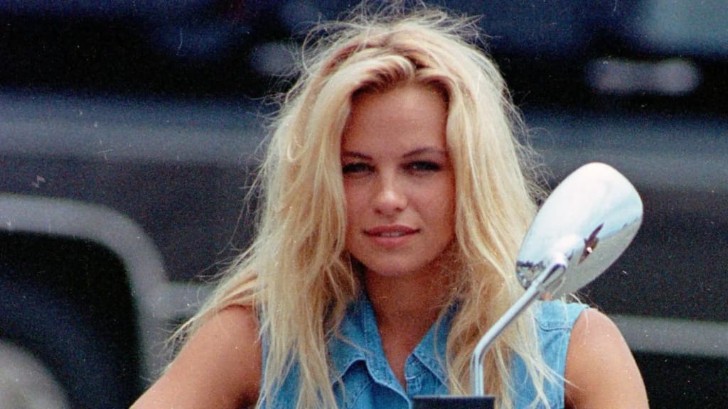 Pamela Anderson - Illustrationsfoto des Artikels Vermögen Pamela Anderson