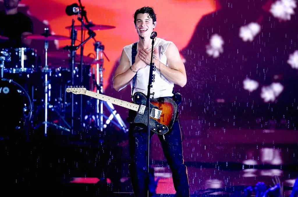 Shawn Mendes au live MTV XMAS Show 2018 - Photo d'illustration de l'article Fortune Shawn Mendes