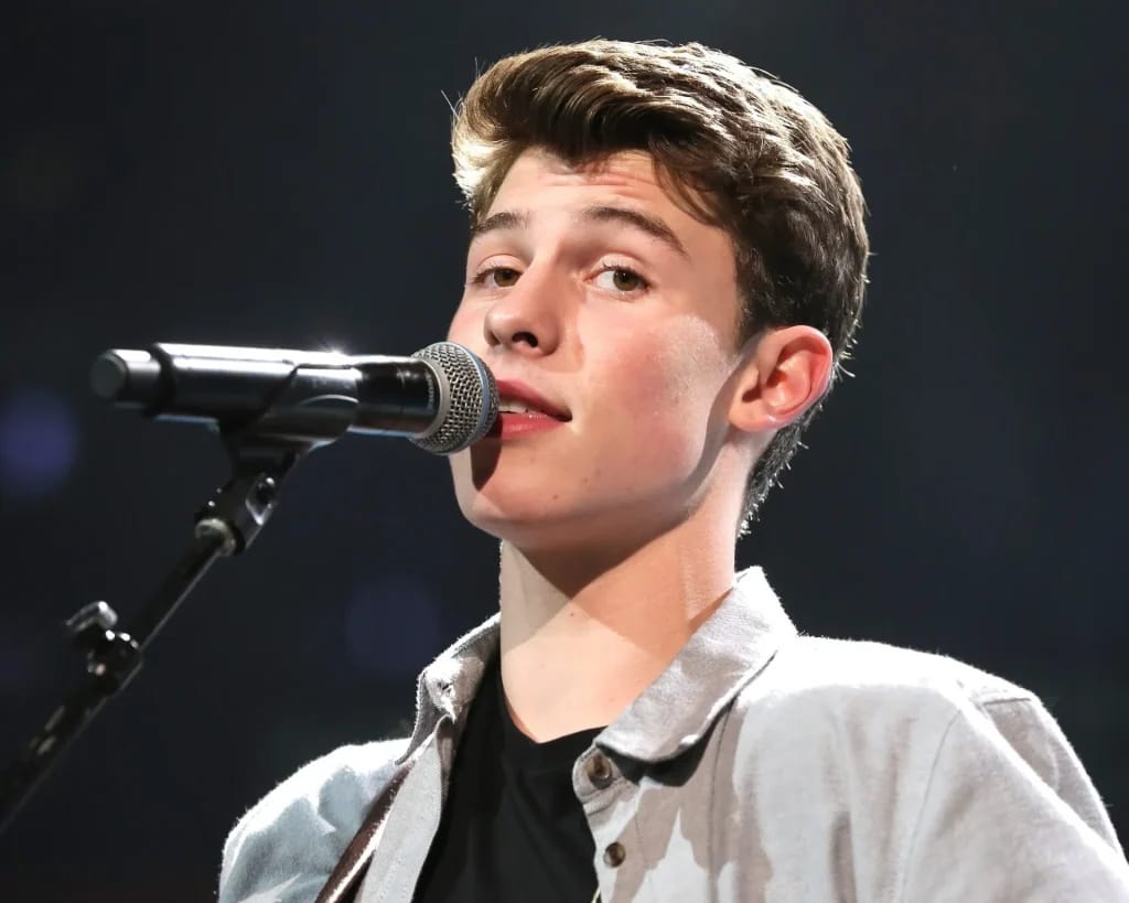 Shawn Mendes sur scène en 2014 - Photo d'illustration de l'article Fortune Shawn Mendes