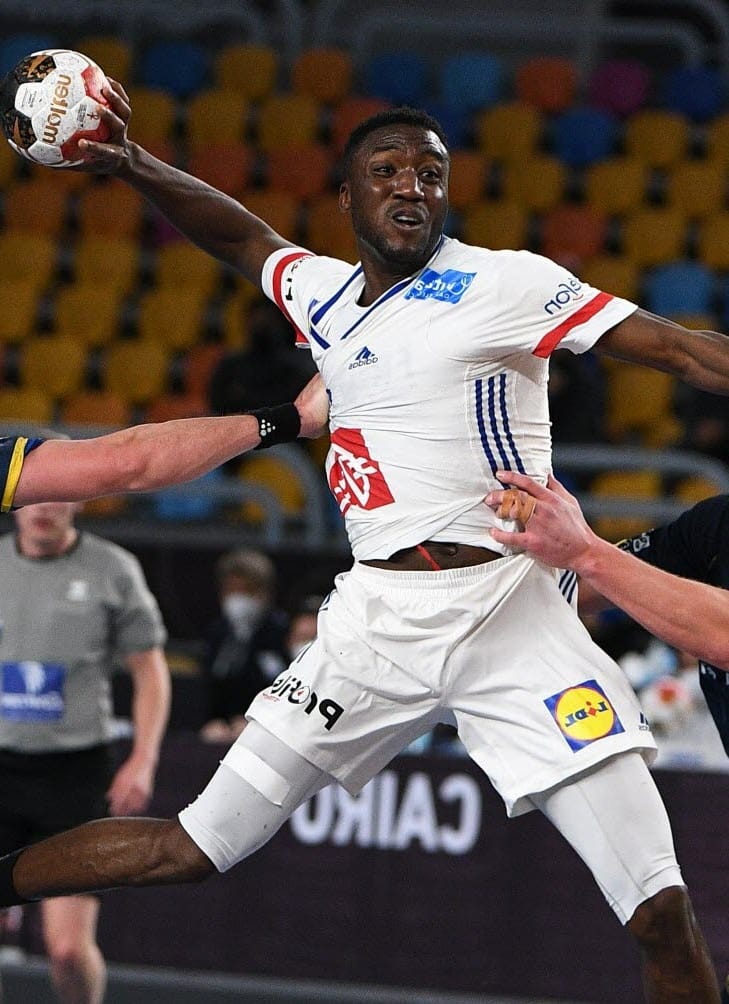 Fortune de Luc Abalo