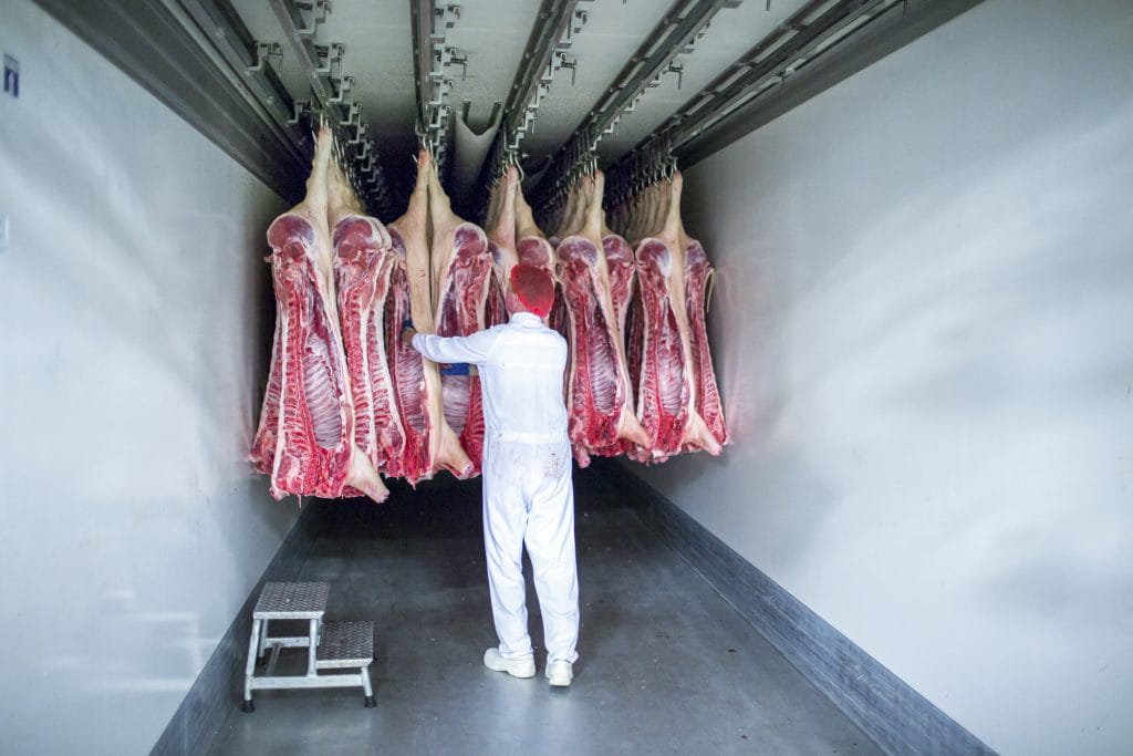 Varkensvlees van Noordvlees Group.