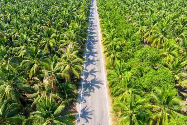 La Famille Bracht: Discrétion et héritage de 72 millions d’euros