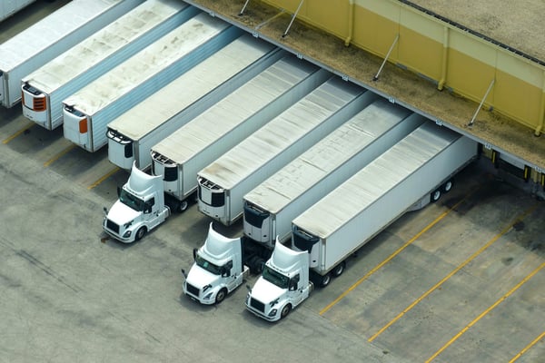 Famille Weerts Group : 75 Ans d’Expansion, de Transport à Leader Logistique Global