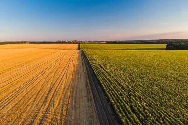 Michel Delbaere: Architecte d’un Empire Agroalimentaire de 96M€ en Belgique